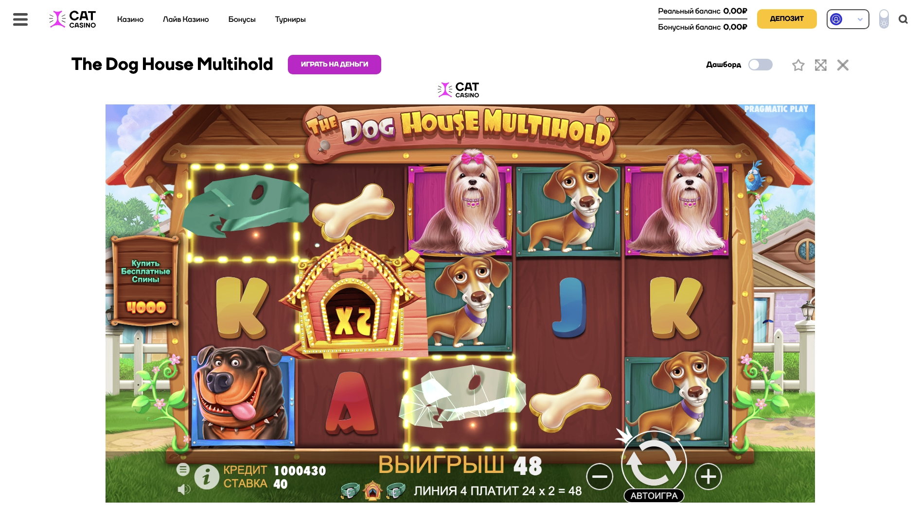 Cat Casino официальный сайт 🛡️ Кэт Казино вход на рабочее зеркало